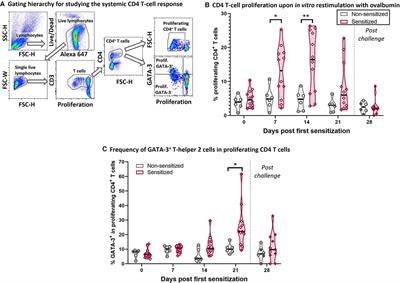 Immunologic and pathologic characterization of a novel swine biomedical research model for eosinophilic esophagitis